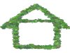 6 Reasons to Go Green With Your Rental Property
