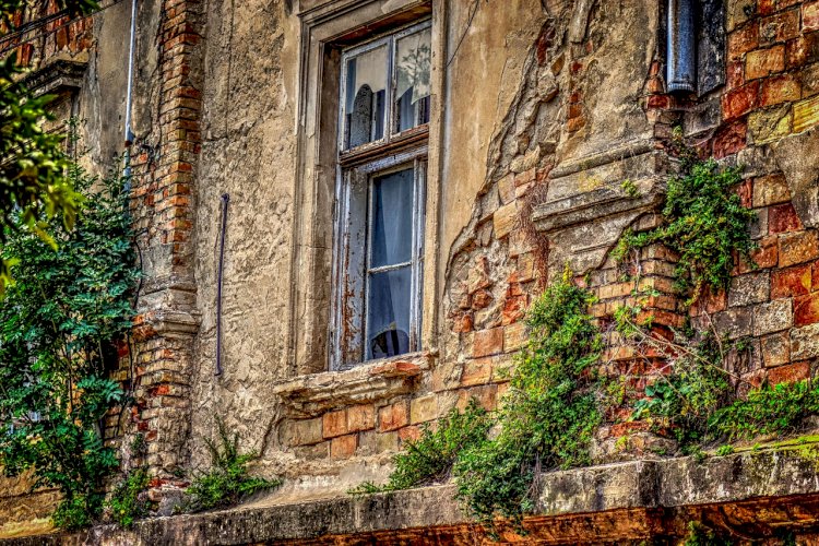 ভাড়াটে ইনজুরি সম্পর্কে আপনার যে 5 টি জিনিস জানতে হবে